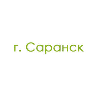 г. Саранск (16)